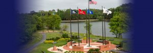 aerial view of military flags